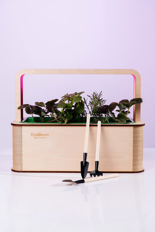 EcoBloom Smart Garden Розумний сад вдома